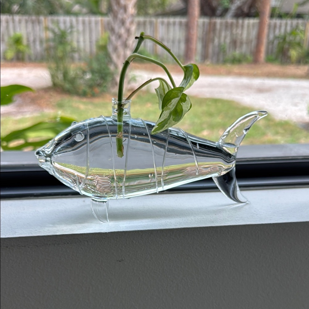 Handblown Glass Fish for plants starters
